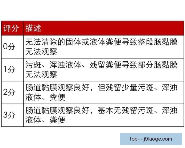 2026年世界杯观赛全流程准备指南与行程住宿购票攻略实用技巧